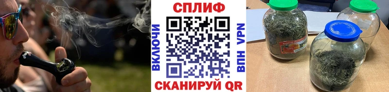 Шишки марихуана ГИДРОПОН  где продают наркотики  Южно-Сухокумск 